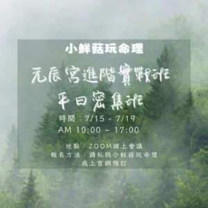 受保護的內容: 元辰宮進階實戰班-教你快速探索元辰宮/線上觀元辰宮/元辰宮教學/元辰宮線上教學